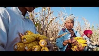 L'Année internationale de l'agriculture familiale