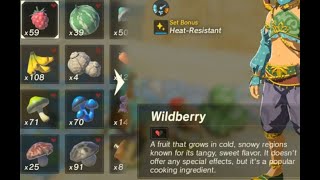 Wildberry | Farming Location | Zelda BOTW screenshot 5