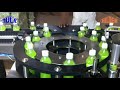 Rotary sticker labeling machine