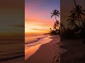 #relax #nature #naturesounds #beach Calming beach ambuance 12 seconds🌊