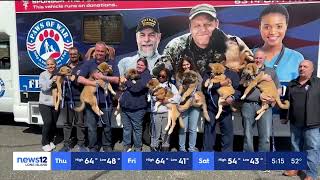 Paws of War Rescues 7 Dogs from the Middle East - News12 Evening