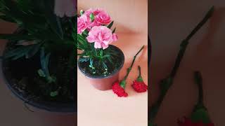 14 Mayıs Pazar Günü Bütün Annelerin Anneler Günü Kutlu Olsun