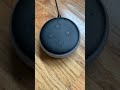 How To Figure Out Echo Dot Diagnostics Red Light