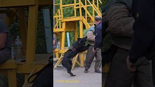 ‼️💥Bodyguard Alpha! German Shepherd training. GUARD.  Odessa.  Ukraine 2024.