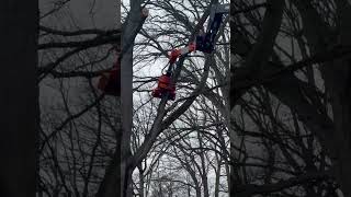 Woodcracker CS510