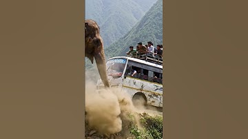 Elephant Pushes Bus Down Cliff | Shocking AI Jungle Scene | AI-Generated