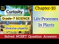 Life processes in plants |Chapter10 |Class 7 Science |Curiosity |Questions Answer l MCQ