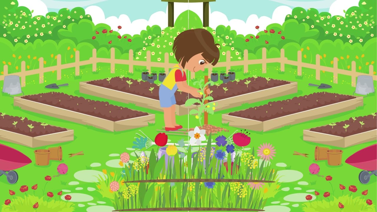 The Magic Seeds// جادویی بیج // Children's Moral Stories in Urdu