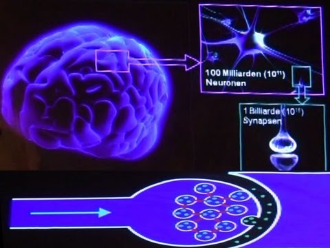 Eine klebrige Angelegenheit - Die faszinierende Welt des Gehirns (Science Slam)