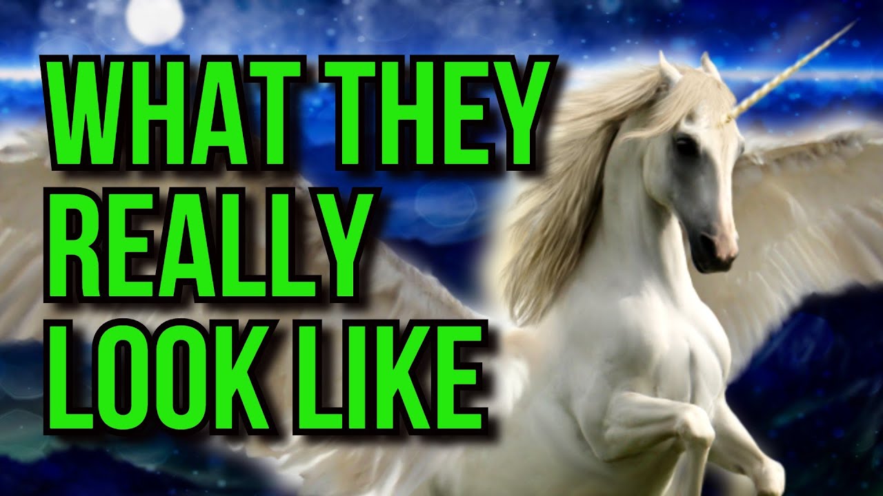 What Do Unicorns Look Like? - YouTube