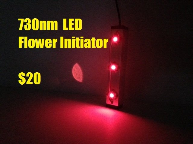 DIY LED The $20 flower leds - YouTube