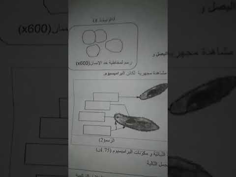 فرض تاليفي عدد 3 علوم الحياة والأرض س7