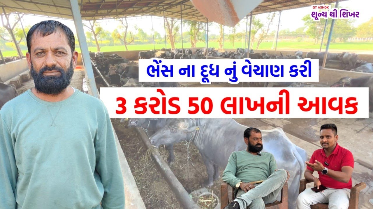 ભેંસનું દૂધ વેચી આ ગુજરાતી ૩ કરોડ ૫૦ લાખની કમાણી કરે છે | ધંધા ની વાત with GT ASHOK | Ep - ૩