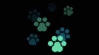 Chroma key bokeh part 10 1080p CcRP yNoJTA