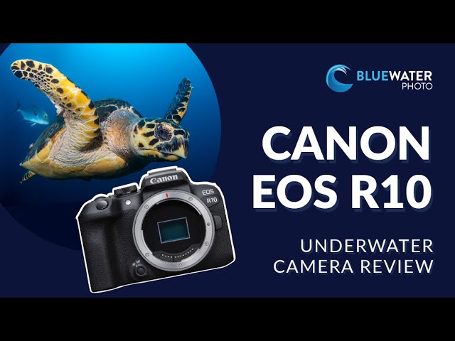 200DLM/D Underwater Housing and Canon EOS R100 Camera Kit