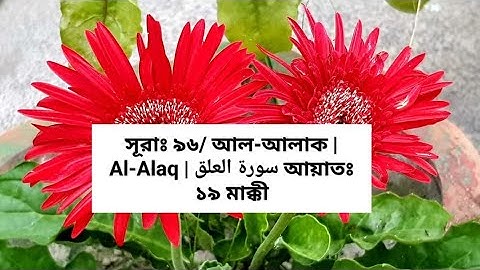 সূরাঃ ৯৬/ আল-আলাক | Al-Alaq | سورة العلق আয়াতঃ ১৯ মাক্কী