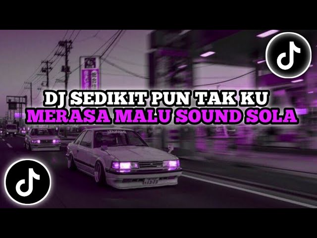 DJ SEDIKIT PUN TAK KU MERASA MALU SOUND SOLA || DJ JOMBLO HAPPY VOC. ELSA MERISKA VIRAL TIK TOK ! class=