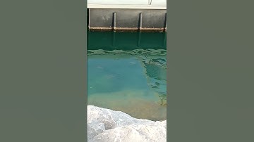 عبدالرحمان مسعد #القارئ #اكسبلور #نوها #automobile #متابعين #تيك_توك #اسمعنا #بحر #لايك #ترند #اكسبل