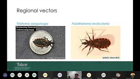 Special Topic Webinar-Chagas in the Southeastern U...