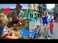 vlog / собираем клубнику в поле/рыбка/Blue Mountains Village/много еды)