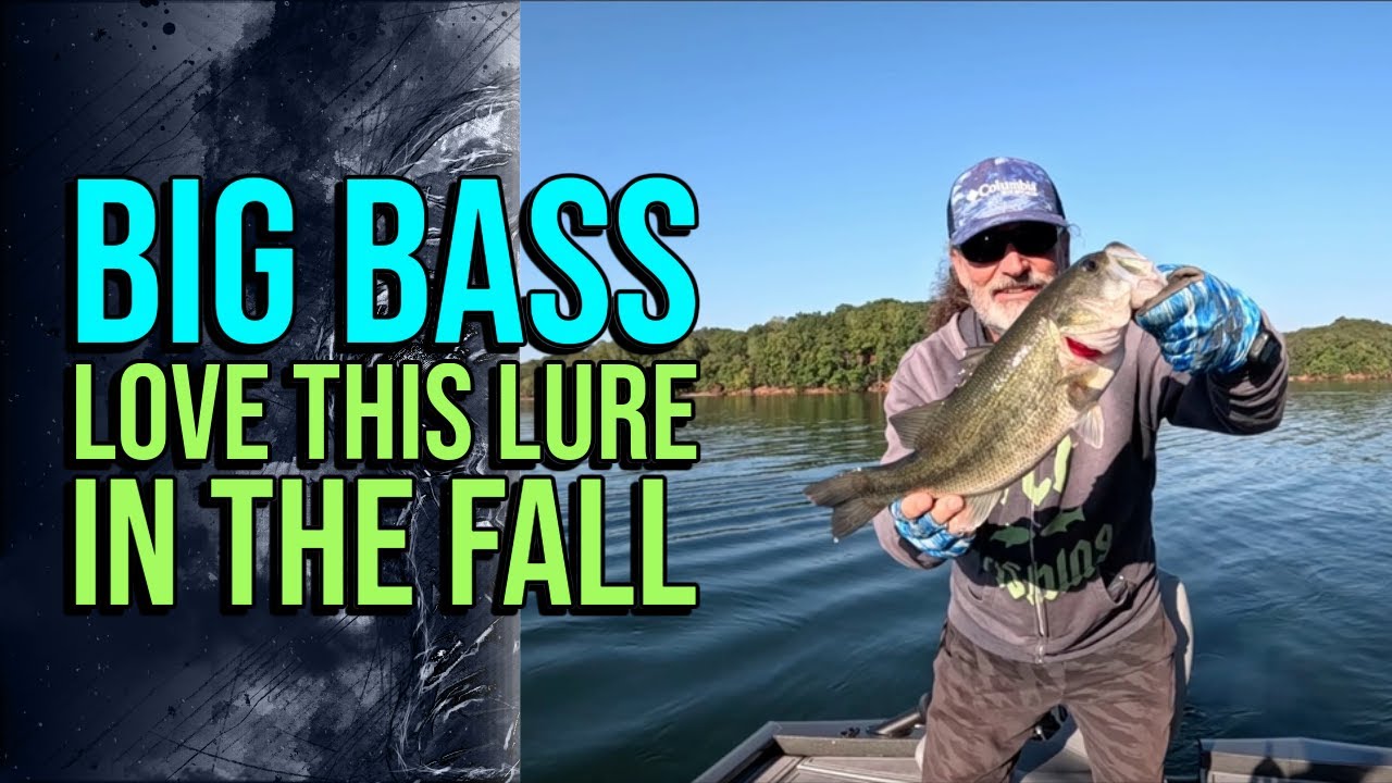 Big Bass Love This Lure In The Fall