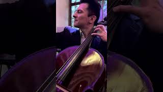 Måneskin – Beggin' Lyrics on the cello. Ukraine #cellocover  #антонстепаненковиолончелист