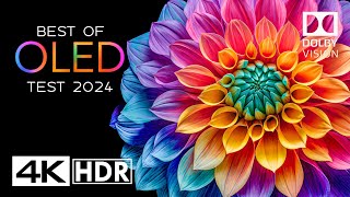 OLED TEST 2024 - 4K HDR Video ULTRA HD 60FPS - DOLBY VISION