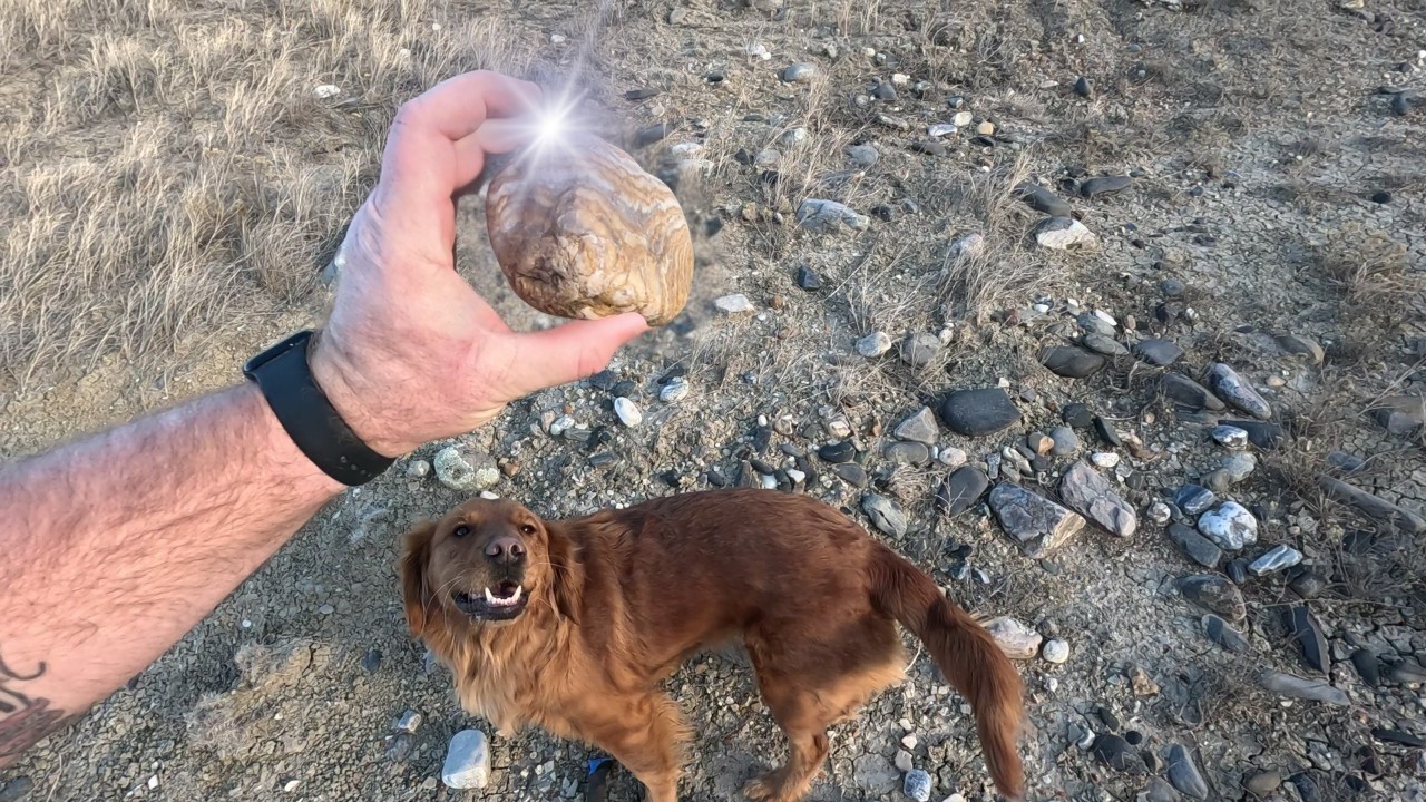 First Rock Hunt of 2026 at Railroad Buttes | South Dakota Rockhounding