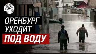 «Такого никогда не было!» Уровень воды в реке Урал поднялся более чем на 10 метров