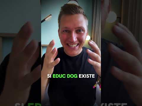 Sois vigilant à l’éducation canine positive ! - Sois vigilant à l’éducation canine positive !