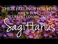Sagittarius love tarot  someone who is very passionate about this connection  its crucial
