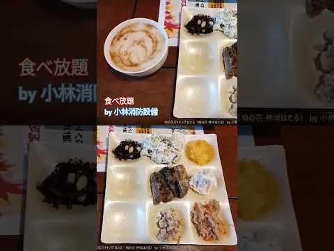お食事処：梅の花バイキング ほたる（梅の花 神埼ほたる）⑦（佐賀県神埼市）～小林消防設備　福岡県豊前市　全類消防設備士　第二種電気工事士　経営学修士～　　＃小林消防設備　＃梅の花　＃食べ放題　＃神埼市