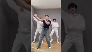 #원호 선배님❤과 함께 #루이 & #자한 #백야챌린지 ✨🖤 #shorts