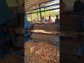 Big Log Process 😲part 448#wood #viral #shorts #woodworking