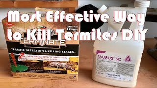 Most Effective Way to Get Rid of Termites Yourself