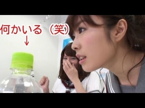 サンシャイン 挨拶だけで可愛いaqours Cyaron ラブライブ Youtube サンシャイン 挨拶だけで可愛いaqours Cyaron ラブライブ Youtube