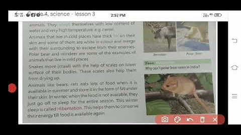 Grade 4  Science Chapter 3 Part 1