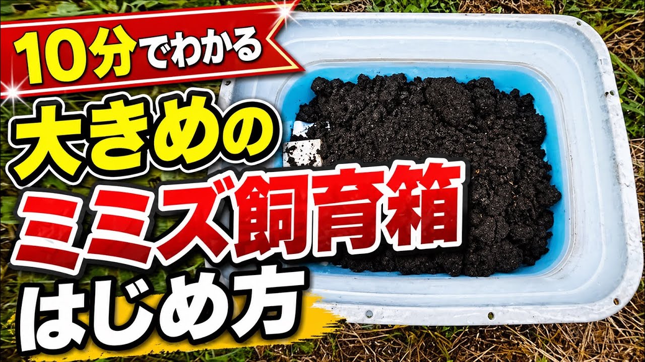 10分で紹介 大きめのミミズ飼育箱のはじめ方 ミミズコンポストのセットアップ動画 Youtube