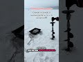 #рыбалка #fishing #зима #весна #еда #рекомендации #популярное #друзья