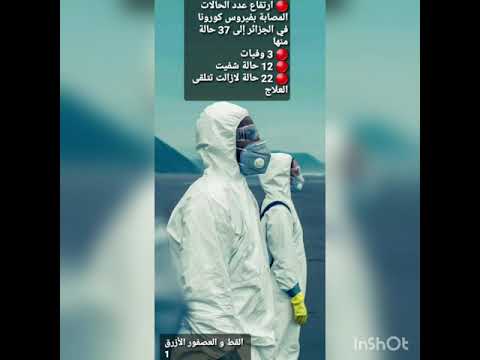 يفعل الجاهل بنفسه ملا يفعل العدو بعدوه