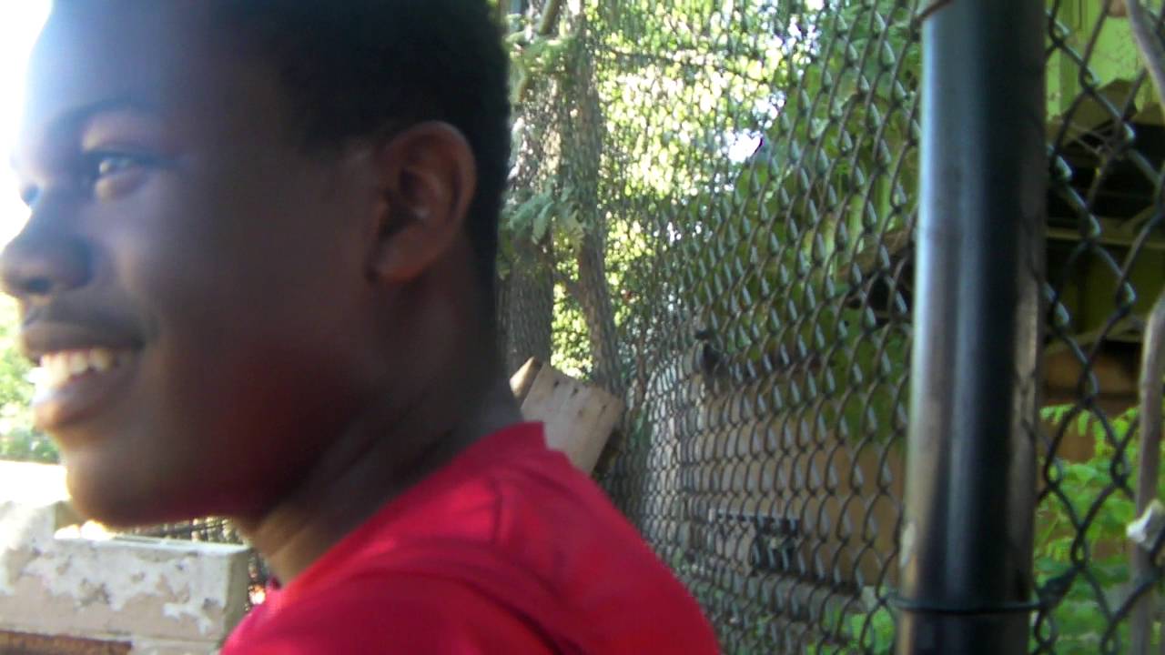 hitting the gym HARLEM BASEBALL HITTING ACADEMY