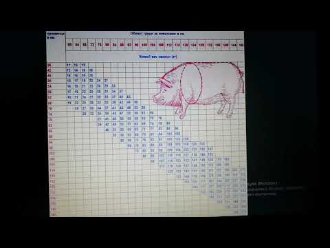 Таблица определения живой массы поросёнка