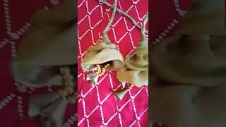 Easy latkan blouse design #@Guptaji-io7zj# #shortvideo#viralreels#fashion