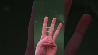 Pernah Dengar Ikan Nyanyi Suara Mia?