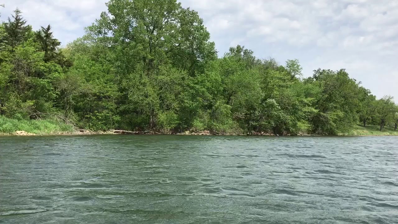Bald eagle at Lone Star Lake, Kansas YouTube