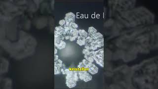 Bu Suya ‘Teşekkür Etti’ Sonuç Şok Edici😮😮