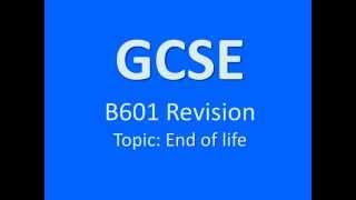 gcse revision unit b601 afterlife