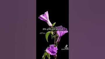 سورة الطارق