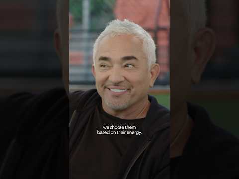 ผลสลากกินแบ่งรัฐบาล วันที่ 1 พย. 2567