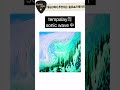 tempalay 'sonic wave' #tempalay #sonic #wave #소닉